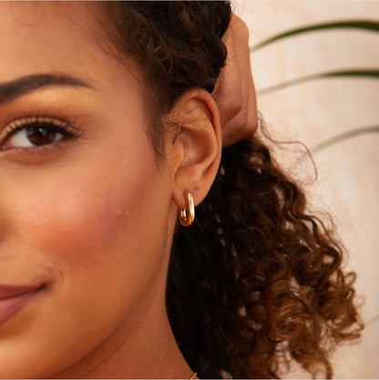 Dodo hoops - 18ct Gold Plated